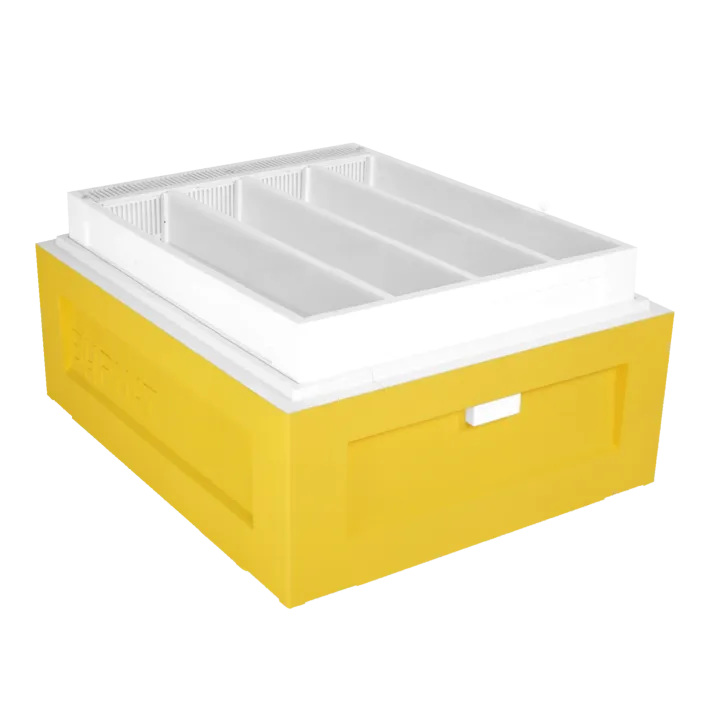 Avilys keturioms bičių motinėlėms arba šeimelėms Dadan 