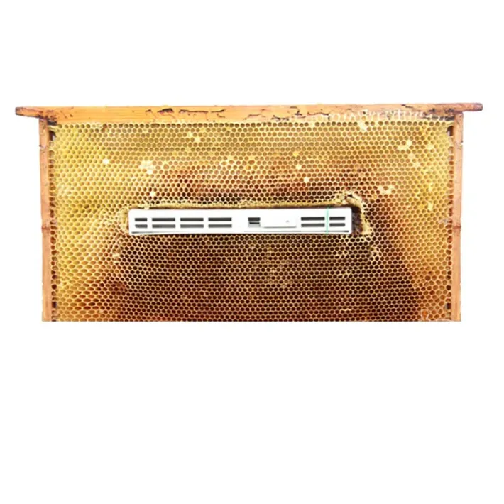 Izoliatorius plastikinis ("Milenina")