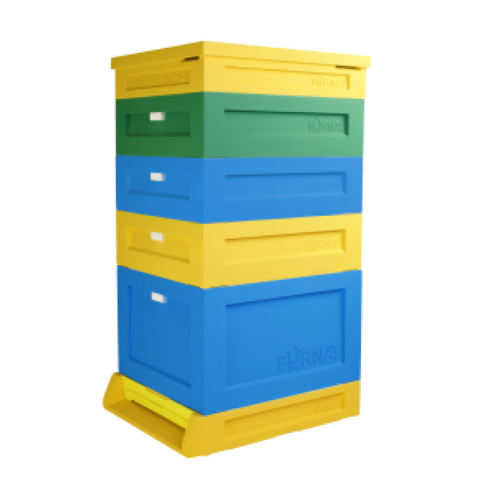 Avilys polistireninis  10R  1 lizdinis  3 meduviniai korpusai BURNAT