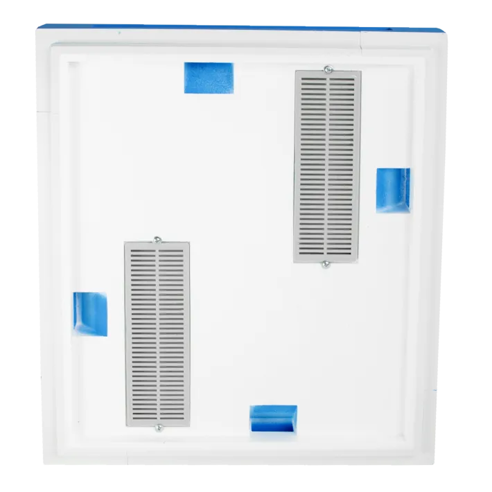 Avilys keturioms bičių motinėlėms arba šeimelėms Dadan 