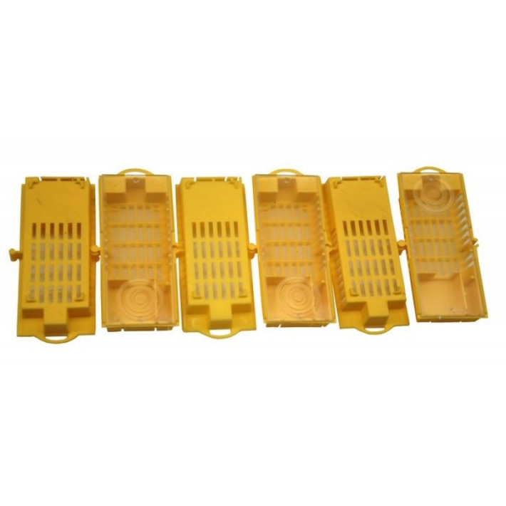 Narvelis motinėlei permatomu dangteliu